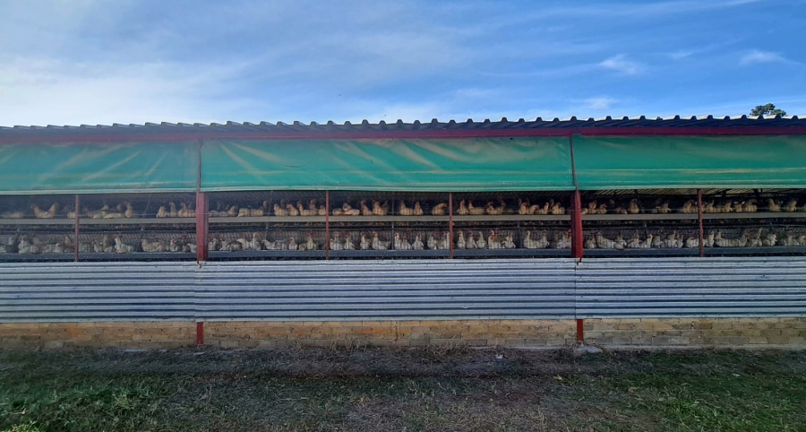 Commercial Property for Sale in Bloemfontein Rural Free State